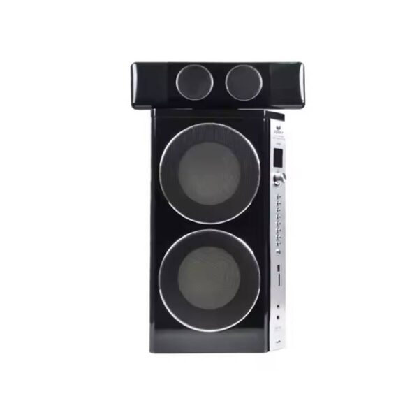 Texman DJ box front panel with double subwoofers, rear mixer panel of DJ home system, dual 8-inch woofer setup for live music DJ Box Home Theatre System with Dual 8” Subwoofers & 300W Audio Mixer Power